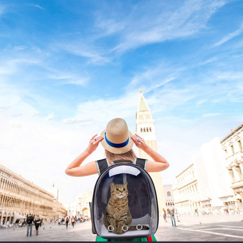 Bolso Maleta Para Transportar Mascotas